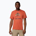 Men's T-shirt Columbia Rapid Ridge Graphic tuscan/heavenly
