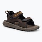 Men's sandals Columbia Konos Hiker 3-Strap cordovan/mud