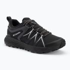 Men's hiking boots Columbia Peakfreak Roam Waterproof black/silver grey