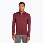 Men's thermal sweatshirt icebreaker 260 Tech LS Half Zip port