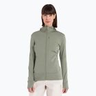 Icebreaker women's trekking jacket Merino 260 Quantum IV Zip Hoodie lichen