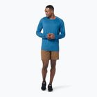 Men's Smartwool Merino Sport 120 thermal T-shirt blue SW016546J44