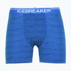 Men's thermal boxer shorts icebreaker Anatomica lazurite/midnghtnvy/aop