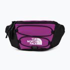 The North Face Jester Lumbar purple kidney bag NF0A52TMYV41