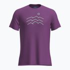 Men's Icebreaker Merino 125 Cool-Lite Sphere Tee Across The Peaks passion trekking t-shirt