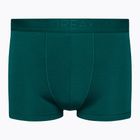 Men's thermal boxer shorts icebreaker Anatomica Cool-Lite green 105223
