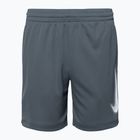 Nike Dri-Fit Multi smoke grey/white children's shorts