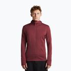 Men's sweatshirt Icebreaker Merino 260 Quantum IV LS Zip Hoodie port/agate