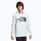 Men's trekking sweatshirt The North Face Tekno Logo Hoodie icecap blue