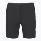 Women's trekking shorts The North Face Felik Slim Tapered asphalt grey/black