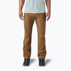 Men's Patagonia Terravia Trail Regular coriander brown trekking trousers