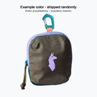 Pouch Cotopaxi Allpita Mini of the day