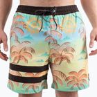 Men's Hurley Phantom Eco Block Party Volley 17" pineapple swim shorts