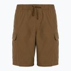 Men's Vans Range Cargo Loose Shorts