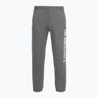 Men's trousers The North Face Varsity Graphic medium grey heather