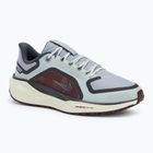 Nike Pegasus 41 GTX men's running shoes light pumice/ burgundy crush/ dark smoke grey/ ashen slate