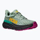 Women's running shoes HOKA Challenger ATR 7 aloe vera/black