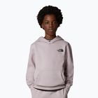 Children's sweatshirt The North Face Teen Simple Dome Hoodie moonstone grey