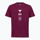 Men's training shirt Under Armour Project Rock Terry Q3 purple