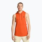 Men's training shirt Under Armour Project Rock Payoff SL HD orange