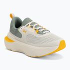 Men's running shoes Under Armour Infinite Elite 2 stone/silica green/campus gold