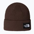 The North Face Salty Lined winter beanie