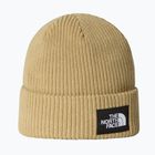The North Face Salty Lined winter beanie