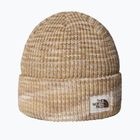 Winter hat The North Face Salty Bae Lined