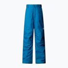 Children's ski trousers The North Face Freedom Insulated dusk blue