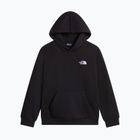 Children's sweatshirt The North Face Evolution Simple Dome Pullover Hood tnf black