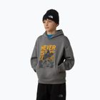 Children's sweatshirt The North Face Sports Oversized Hoodie Graphic smoked pearl