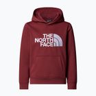 Children's sweatshirt The North Face Teen Drew Peak Pullover Hoodie sumac