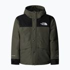 Children's rain jacket The North Face Mountain Down new taupe green