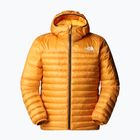 Men's jacket The North Face Terra Peak Hoodie citrine yellow