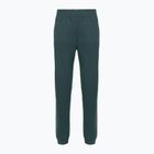 Women's trousers The North Face Mountain Athletics Fleece deep cypress/space