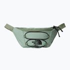 The North Face Jester Lumbar Waist Pack 2.2 l bark mist/black