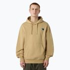 Men's sweatshirt The North Face Mountain Logo Relaxed Hooded khaki stone