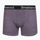 Men's thermal boxer shorts Smartwool Merino Boxer Brief Boxed purple storm heather