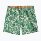 Patagonia Baggies women's shorts 5" bees and flowers/heartleaf green