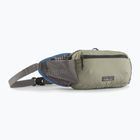 Patagonia Terravia Tote river rock green kidney pouch