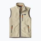 Men's gilet Patagonia Retro Pile Fleece pelican