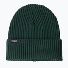 Patagonia Fishermans Rolled Beanie winter beanie cascade green