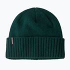 Patagonia Brodeo Beanie winter beanie cascade green
