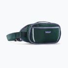 Waistbag Patagonia Fieldsmith Hip Pack 5 l cascade green