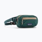Waistbag Patagonia Terravia Mini Hip cascade green