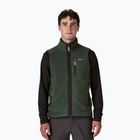 Men's gilet Patagonia Retro Pile Fleece old growth green