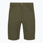 Men's trekking shorts Patagonia Quandary basin green