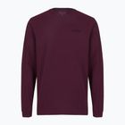 Men's longsleeve Patagonia P-6 Logo Responsibili berry fig