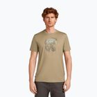 Men's T-shirt icebreaker Merino 150 Tech Lite Ruapehu Round flagstone
