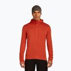 Men's sweatshirt icebreaker Merino 260 Quantum IV Zip Hoodie agate